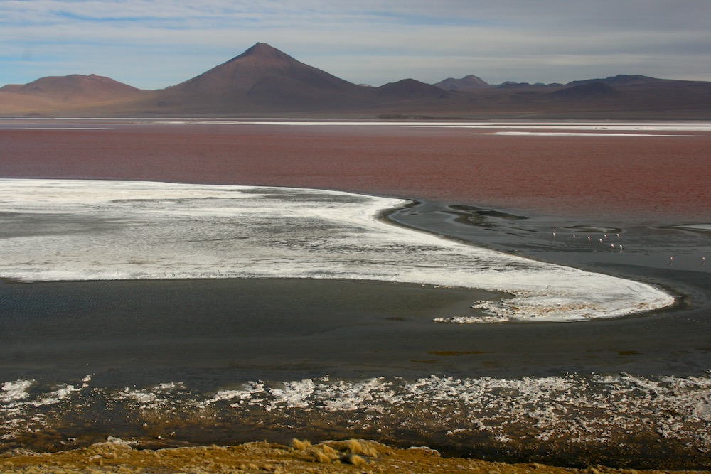 Laguna Colorada